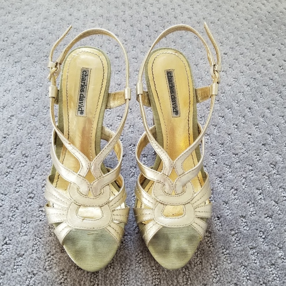 Charles David Awaken wedge